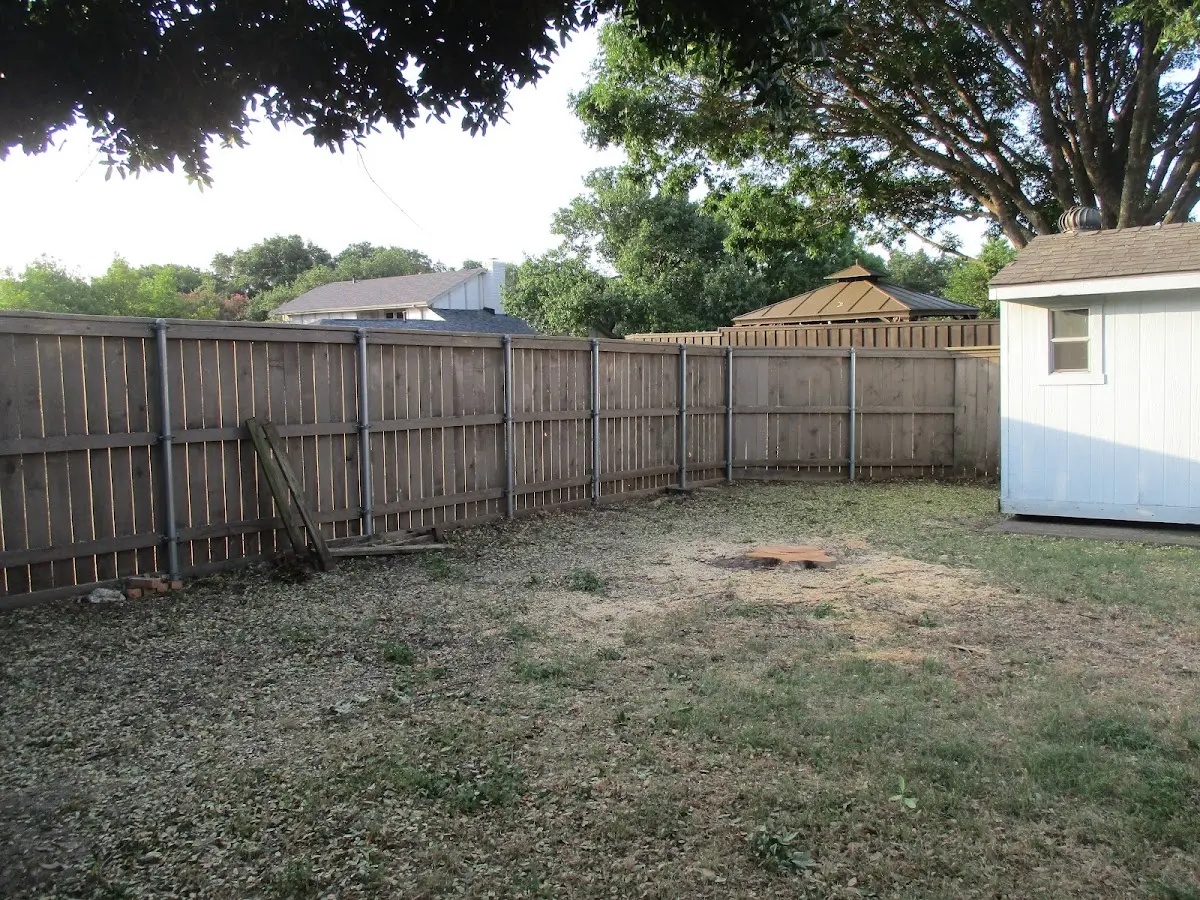 Cleared yard after professional tree removal in Ephrata